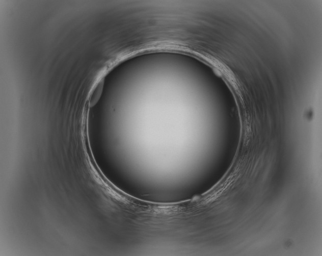 X0000096161390200801181215