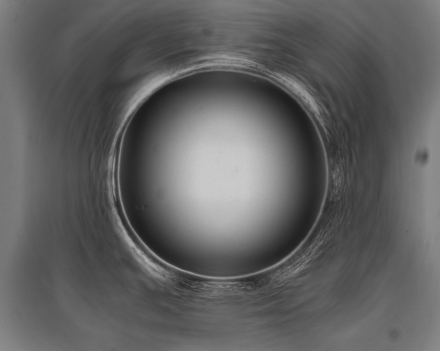 X0000096161391200801181215
