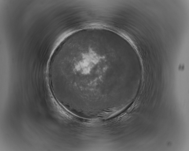 X0000096161392200801181215