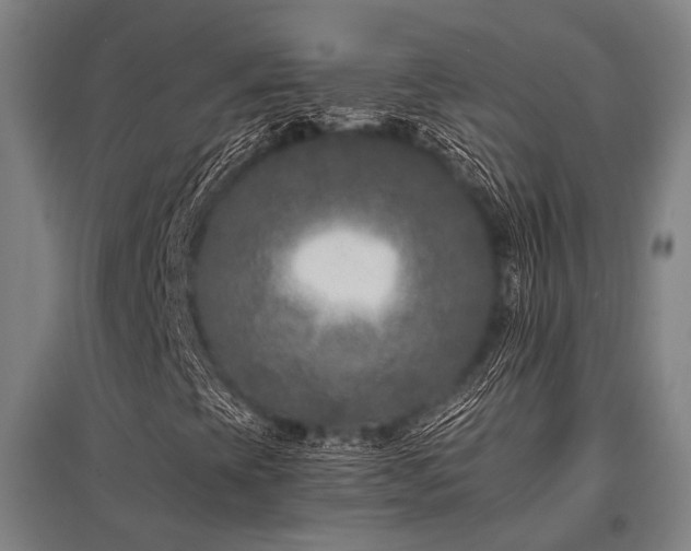 X0000096161393200801181214
