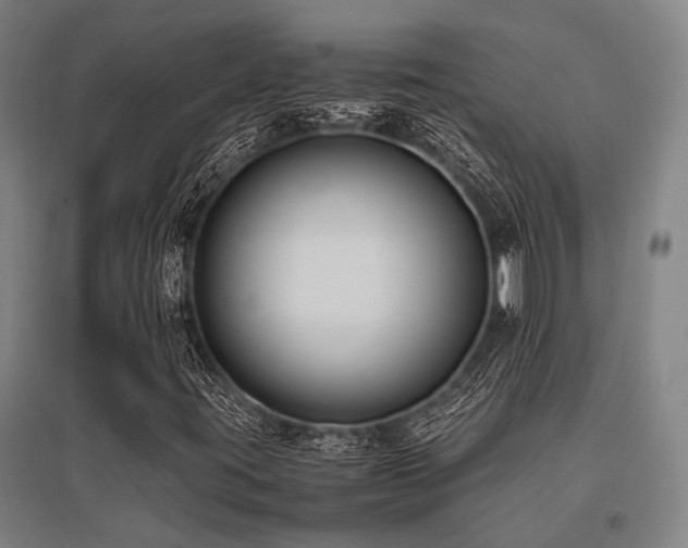 X0000096161395200801181214