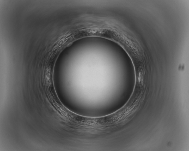 X0000096161396200801181214