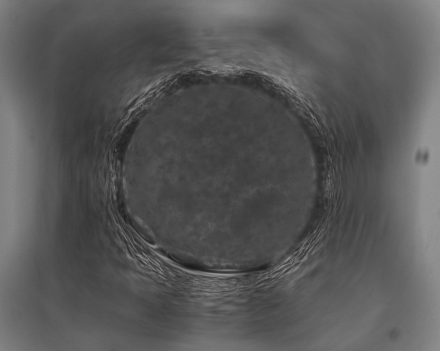 X0000096161397200801181214