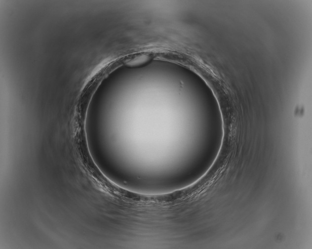 X0000096161400200801181214