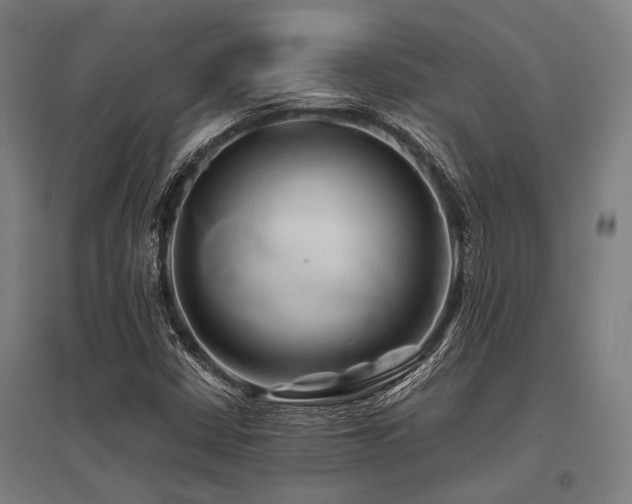 X0000096161402200801181214