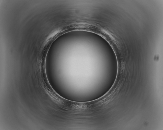 X0000096161403200801181214