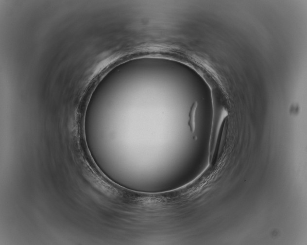 X0000096161404200801181214