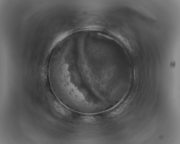 X0000096161405200801181214