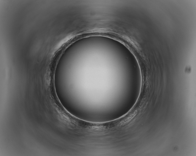 X0000096161406200801181214
