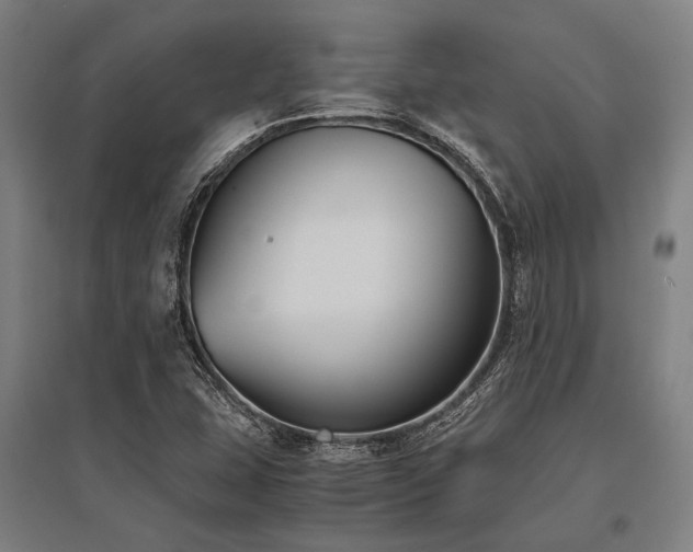 X0000096161407200801181214
