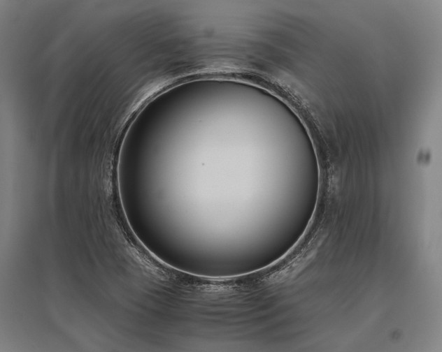 X0000096161409200801181214