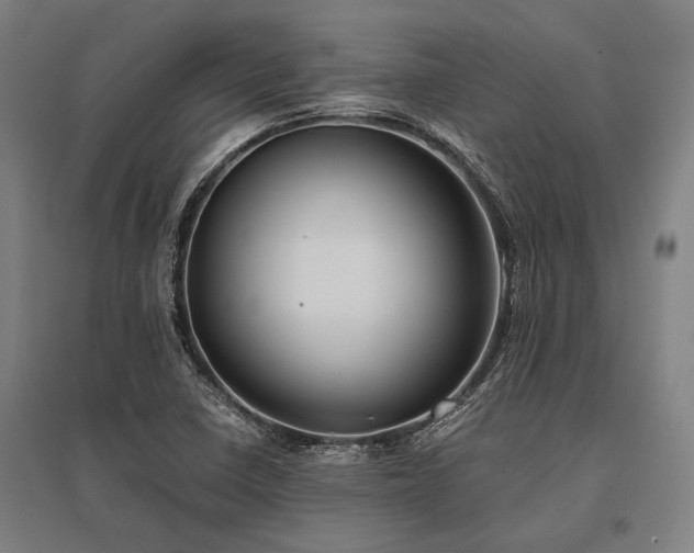 X0000096161410200801181214