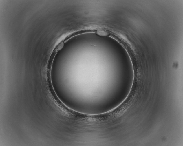 X0000096161412200801181214