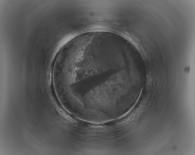 X0000096161413200801181214