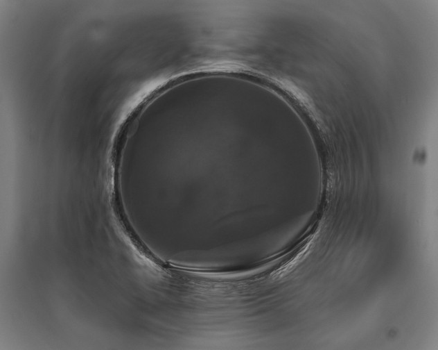 X0000096161414200801181215