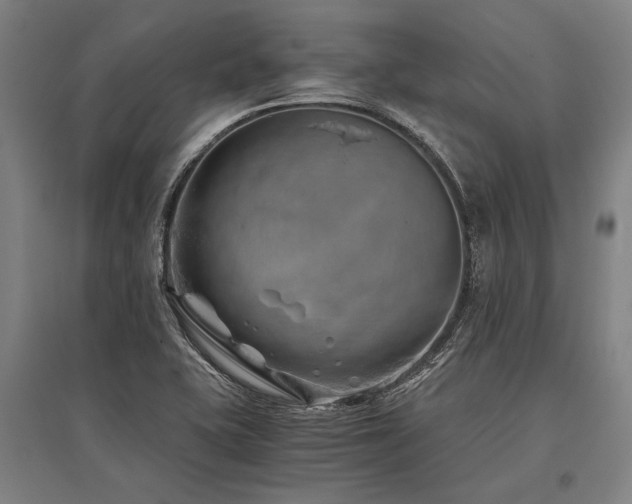 X0000096161415200801181215