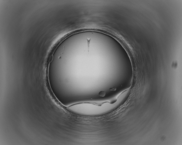 X0000096161416200801181215