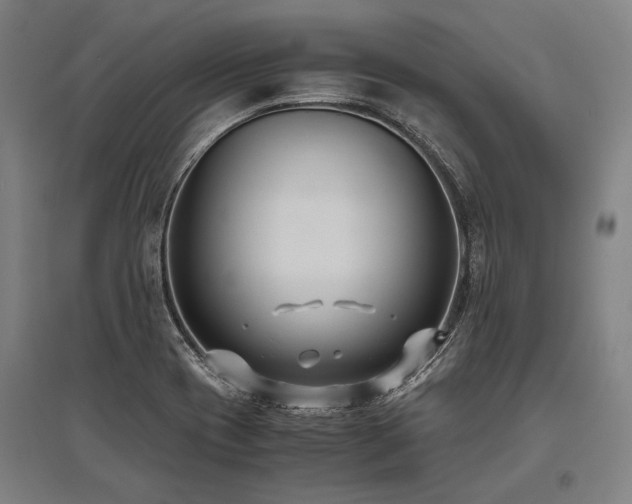 X0000096161417200801181215