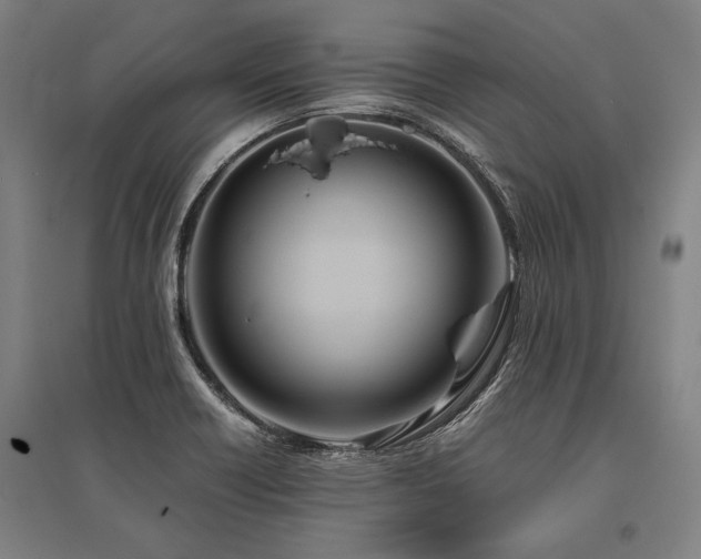X0000096161418200801181215