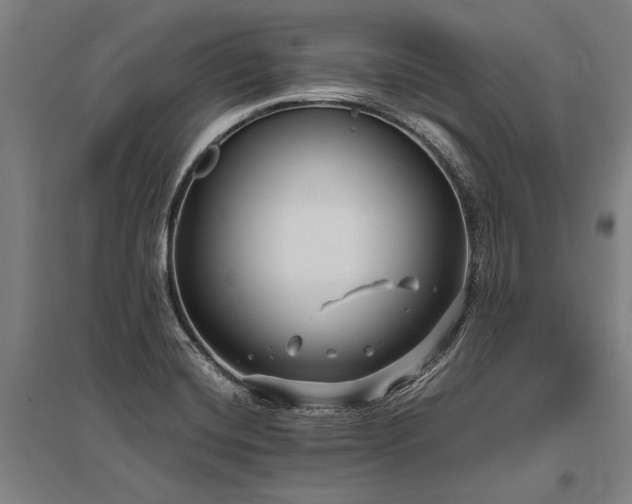 X0000096161420200801181215