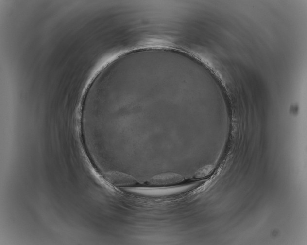X0000096161421200801181215