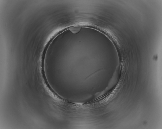 X0000096161422200801181215