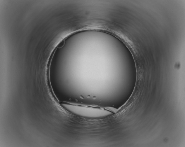 X0000096161423200801181215