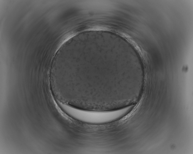 X0000096161425200801181215