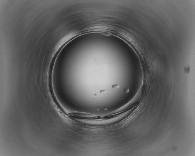 X0000096161426200801181215