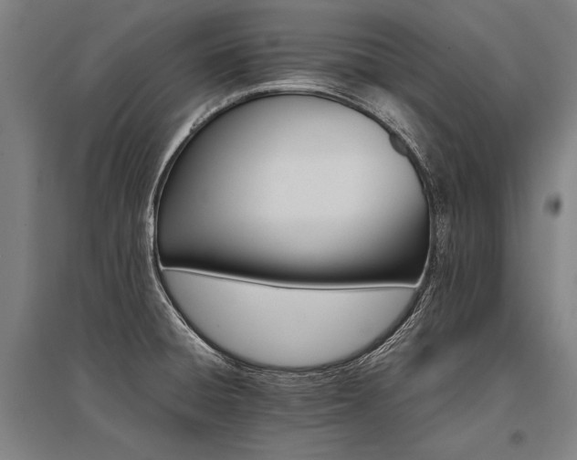 X0000096161428200801181215