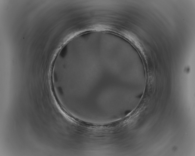 X0000096161429200801181215