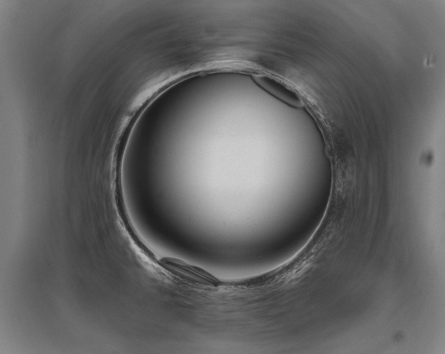 X0000096161430200801181215