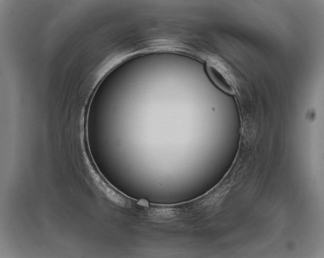 X0000096161431200801181215