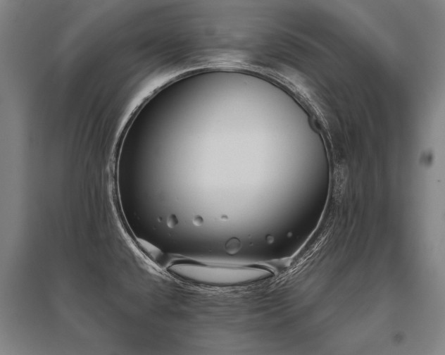 X0000096161432200801181215
