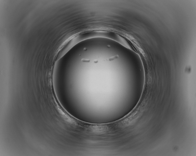 X0000096161433200801181215