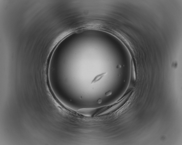 X0000096161434200801181215