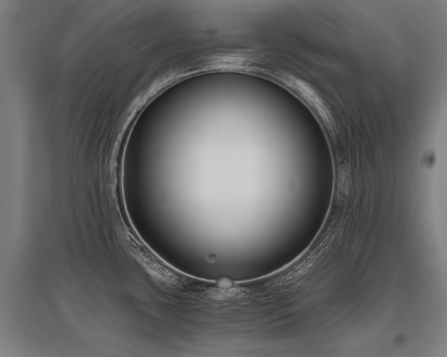 X0000096161435200801181215