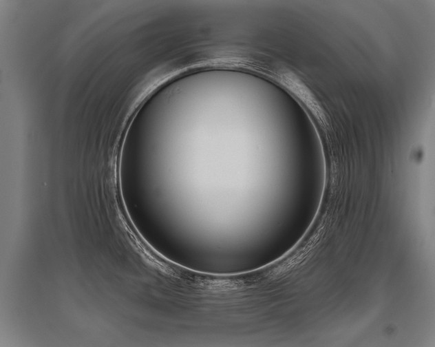 X0000096161436200801181215