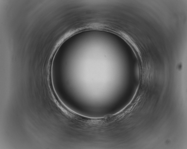 X0000096161437200801181215