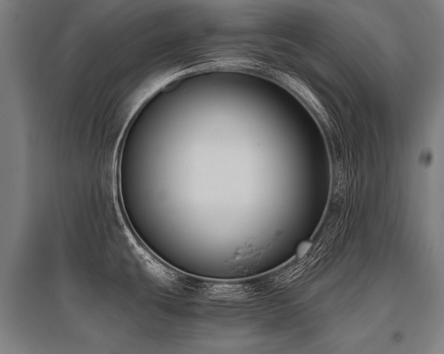 X0000096161439200801181215