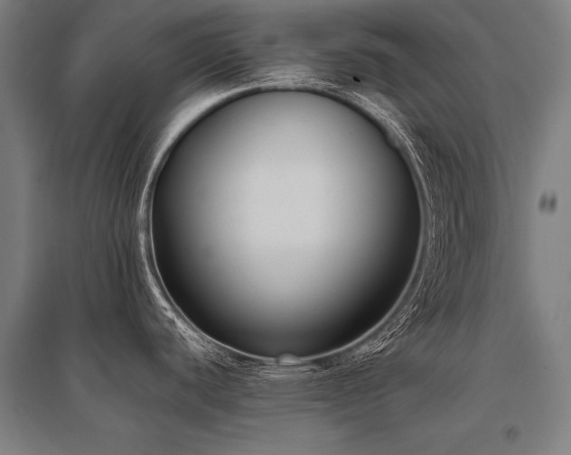 X0000096161440200801181215