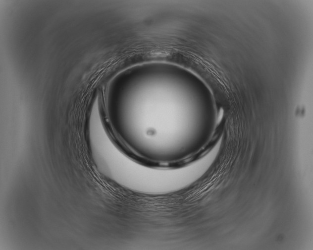 X0000096161441200801181214