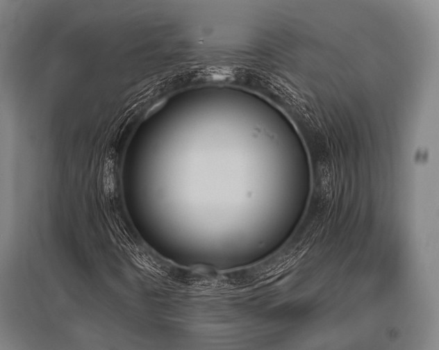 X0000096161442200801181214