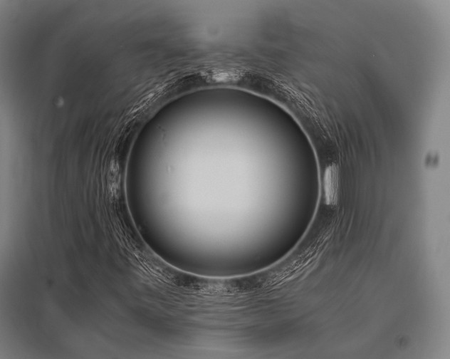 X0000096161443200801181214