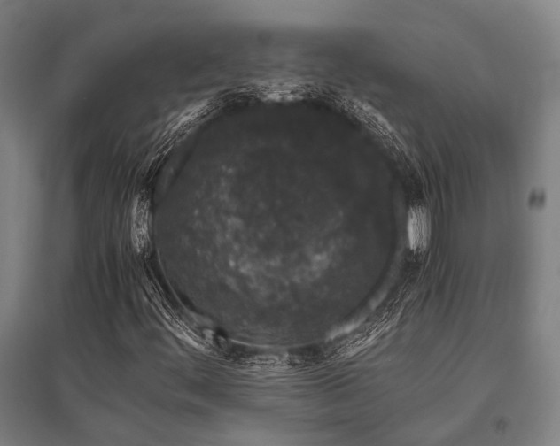 X0000096161444200801181214