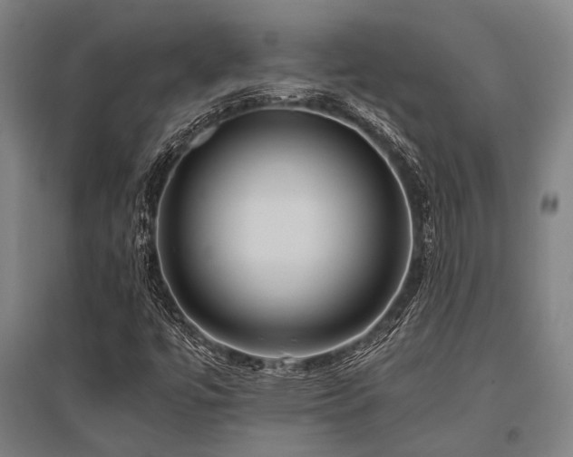 X0000096161447200801181214