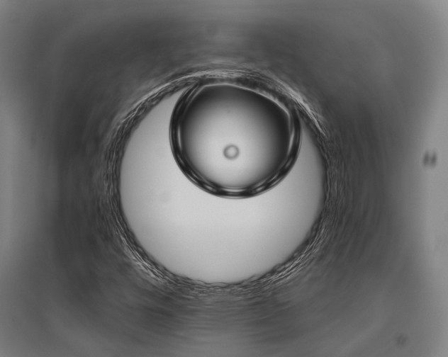 X0000096161448200801181214