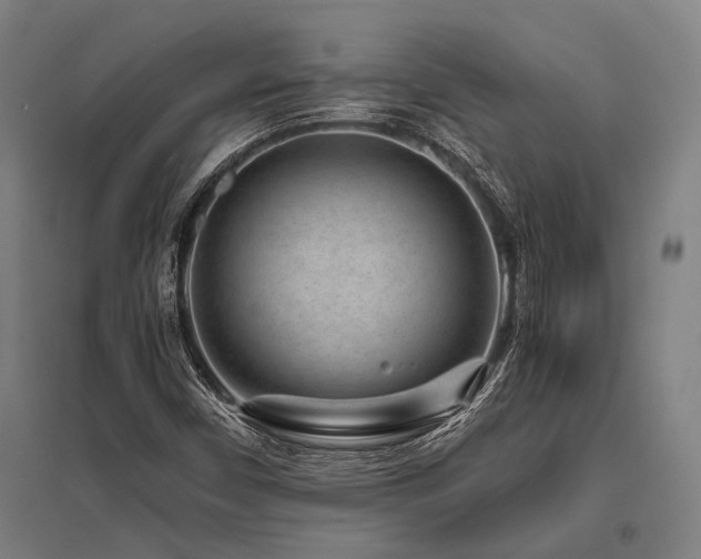 X0000096161450200801181214