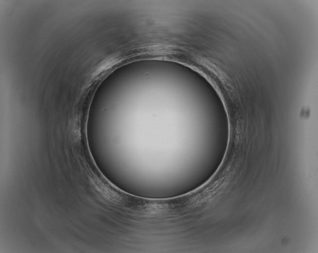 X0000096161451200801181214