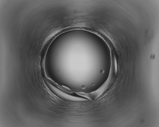 X0000096161452200801181214